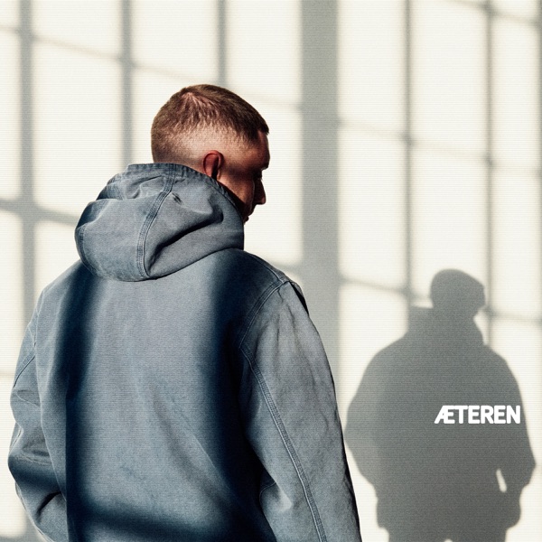 Artigeardit – De Her Svin